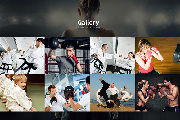 Martial Arts School Website Template in HTML/CSS Themes - product preview 4