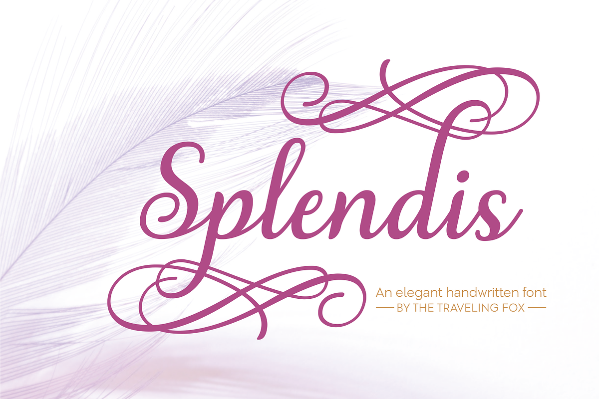 Splendis - Calligraphy Font in Script Fonts - product preview 8