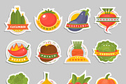 Vector vegetables label logo badge