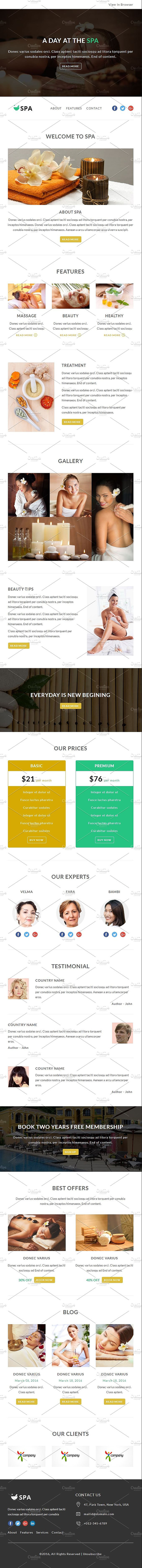 6 Newsletter Templates Bundle - 7 in Mailchimp Templates - product preview 3