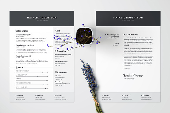 Resume/CV Template - Natalie in Resume Templates - product preview 2