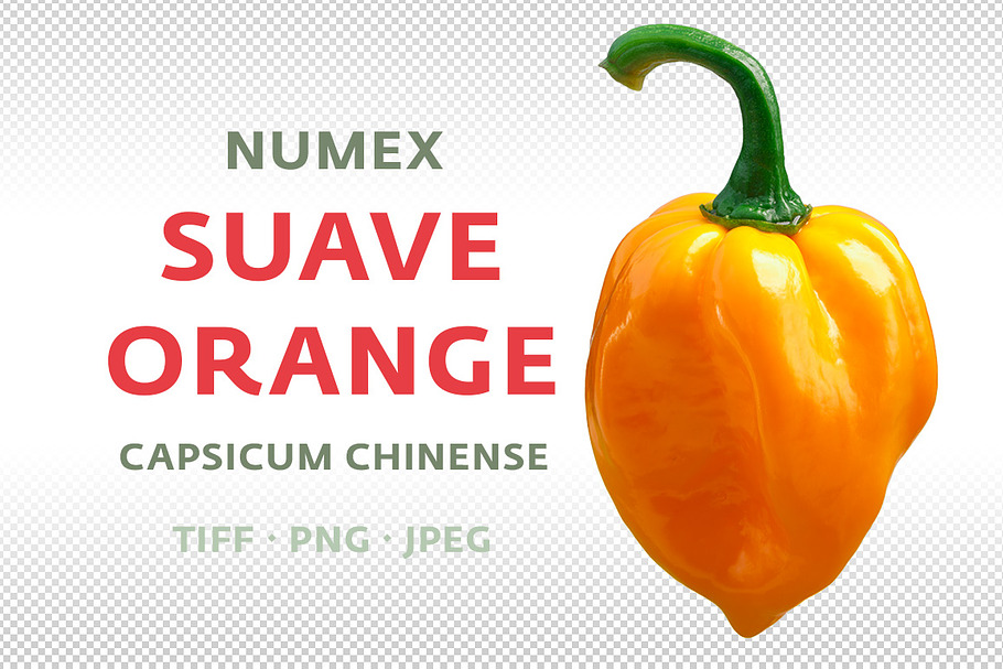 Numex Suave Orange