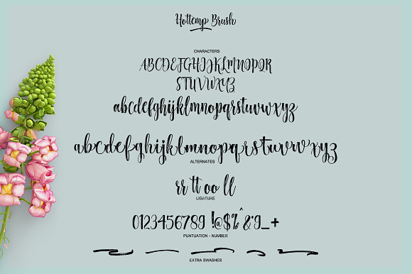Hottemp Brush - Font Duo in Script Fonts - product preview 2
