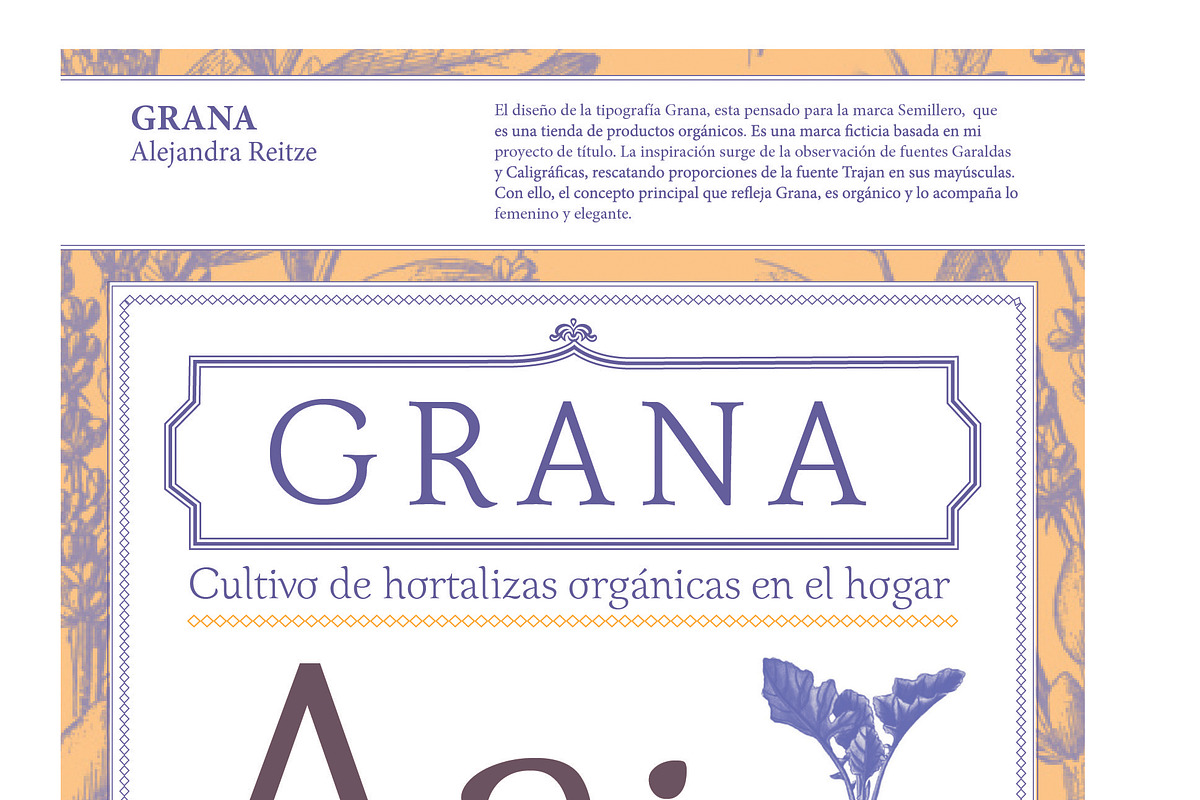 Grana in Display Fonts - product preview 8