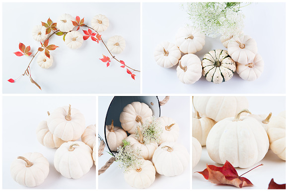 White Pumpkins Stock Photo Bundle in Social Media Templates - product preview 1