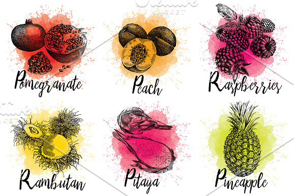 Hand drawn fruits and berries set in Illustrations - product preview 3