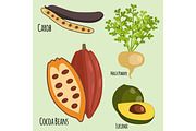Vegetarian superfood healthy vegetable eco food fresh organic traditional gourmet nutrition vector illustration.