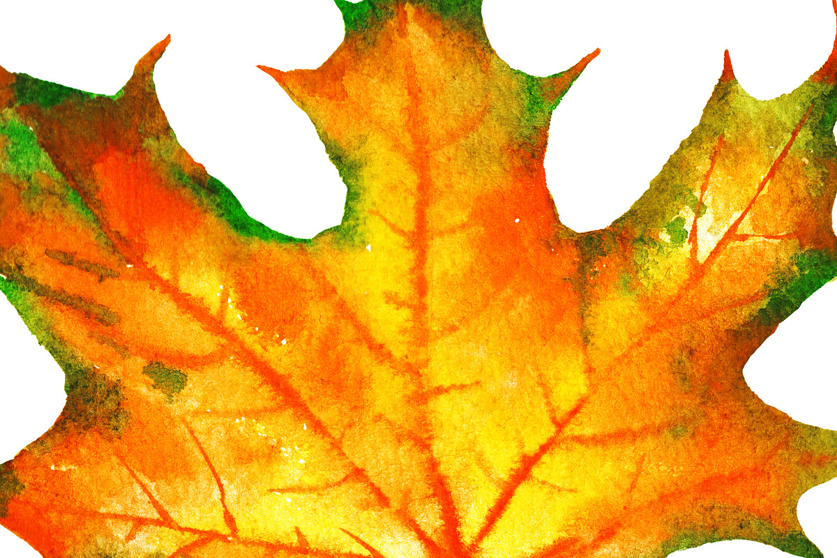 Autumn leaves in Illustrations - product preview 8