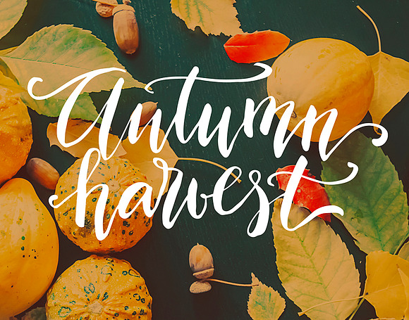 Autumn leaves in Illustrations - product preview 10