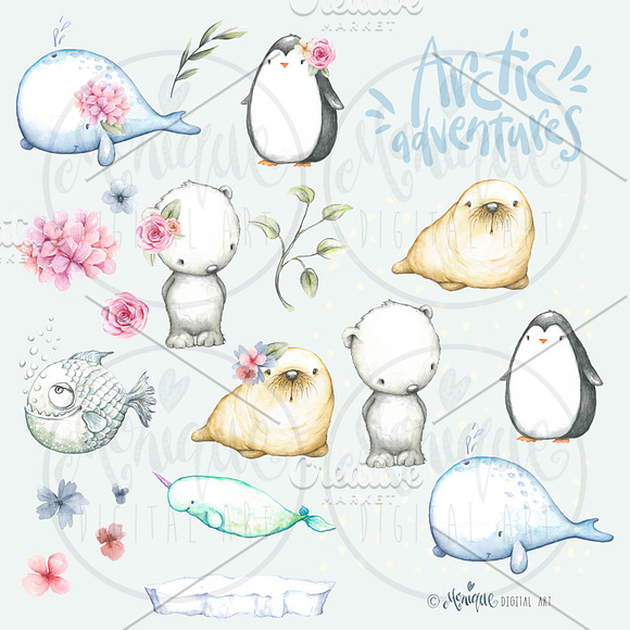 Arctic Animals Clipart Watercolor in Illustrations - product preview 1