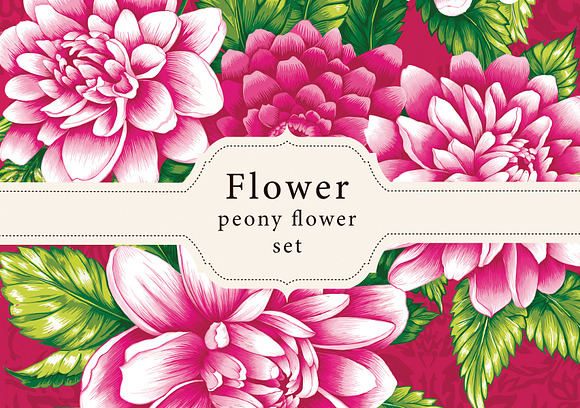 Peony flower designs. in Illustrations - product preview 1