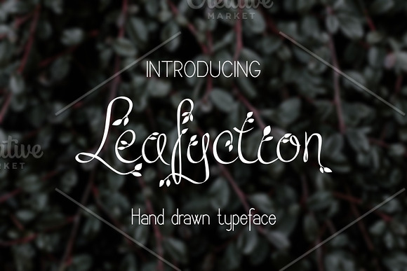 Leafyction in Display Fonts - product preview 2