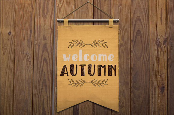 Autumn Spice Display San Serif Font in Display Fonts - product preview 6
