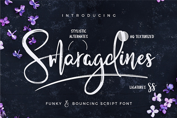 Typographer's Dream Box + 200 Logos in Script Fonts - product preview 16
