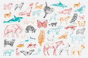 Animal collection vector