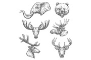 Animal sketch set of african and forest mammal