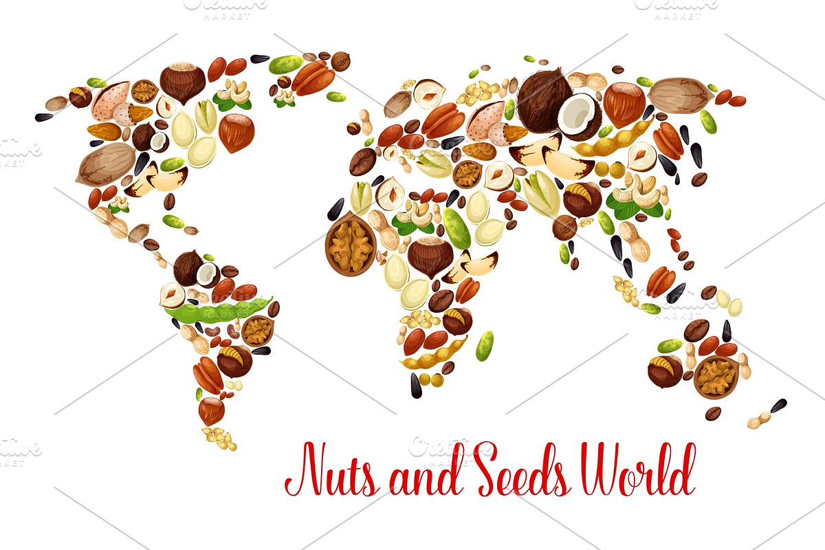 World map of nuts, seed and bean, food design in Illustrations - product preview 8
