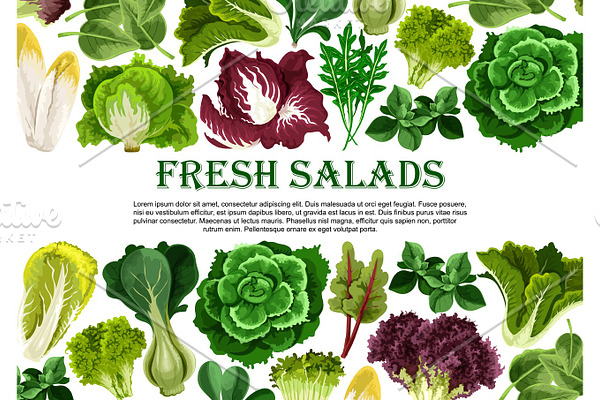 Salad leaf, vegetable greens banner border design