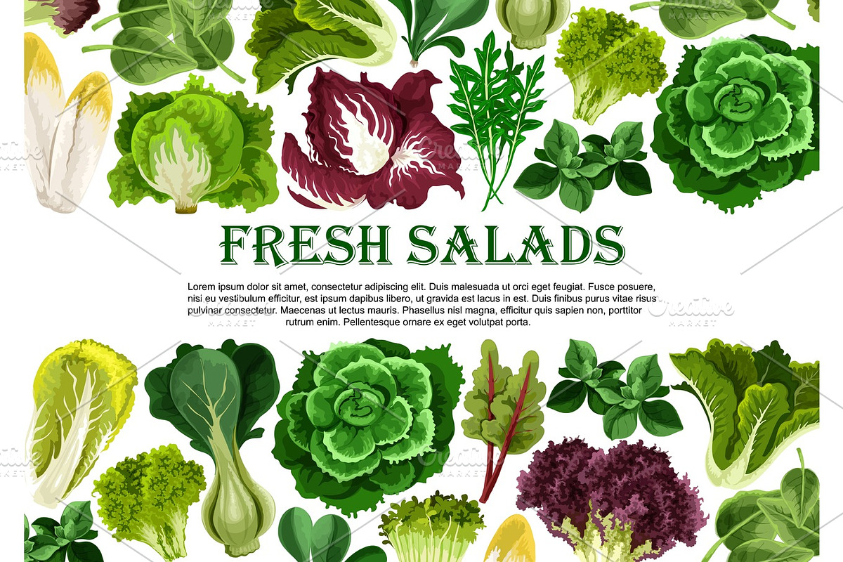Salad leaf, vegetable greens banner border design in Illustrations - product preview 8