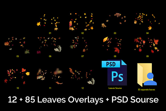 97 Autumn Leaves Photo Overlays in Photoshop Layer Styles - product preview 9