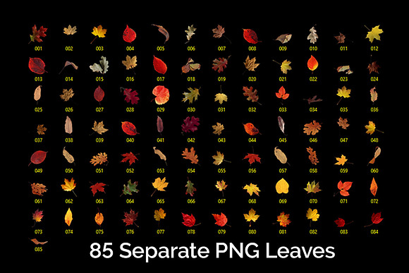 97 Autumn Leaves Photo Overlays in Photoshop Layer Styles - product preview 10