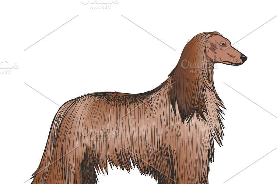 Illustration drawing of dog