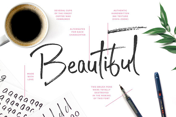Typographer's Dream Box + 200 Logos in Script Fonts - product preview 87