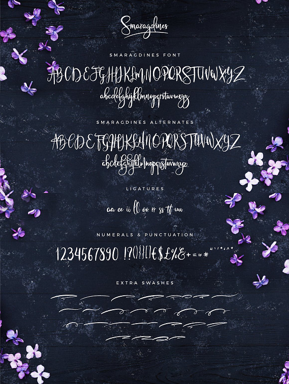 Typographer's Dream Box + 200 Logos in Script Fonts - product preview 92