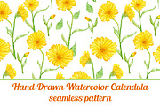 Calendula flower seamless pattern