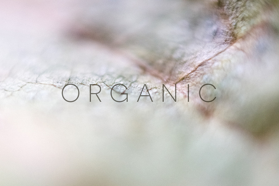 Organic in Objects - product preview 8