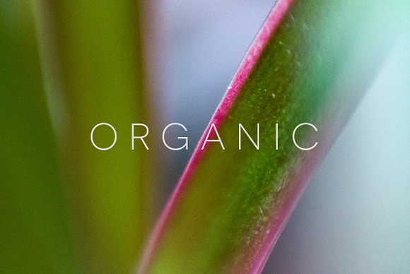 Organic in Objects - product preview 2