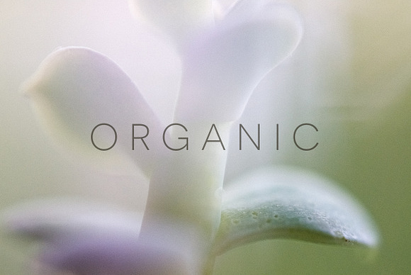 Organic in Objects - product preview 3