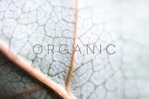 Organic in Objects - product preview 4