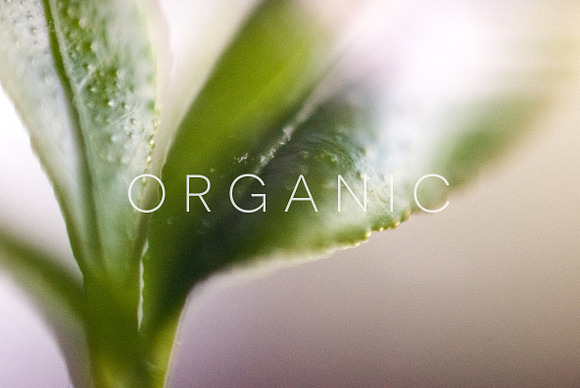 Organic in Objects - product preview 6