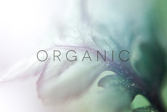 Organic in Objects - product preview 9