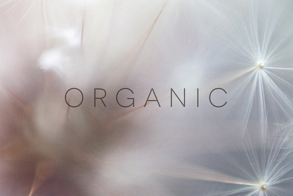 Organic in Objects - product preview 10