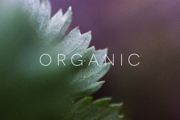 Organic in Objects - product preview 12