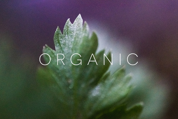 Organic in Objects - product preview 13