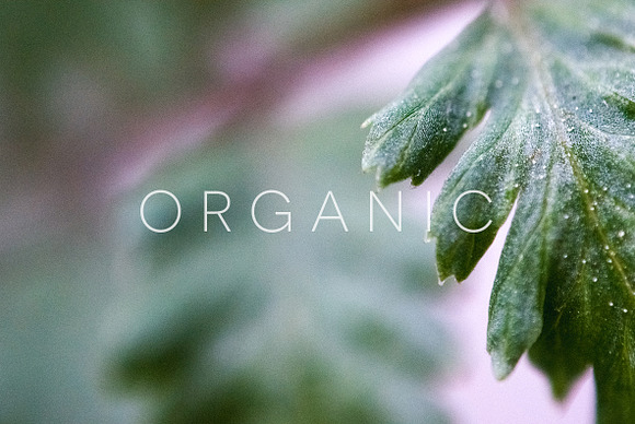 Organic in Objects - product preview 14