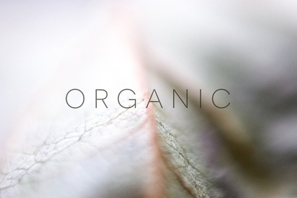 Organic in Objects - product preview 16