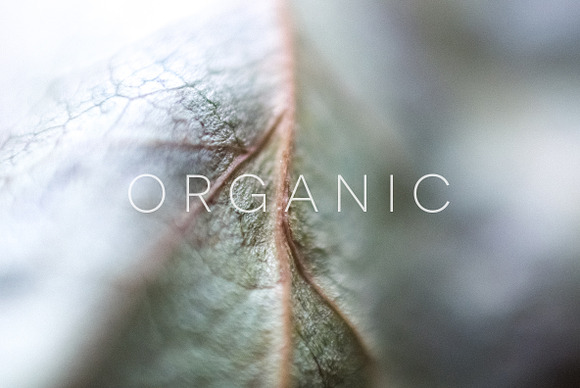 Organic in Objects - product preview 17