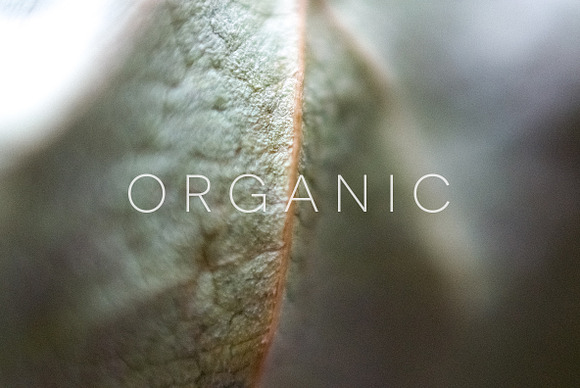 Organic in Objects - product preview 18