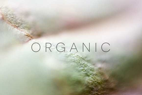 Organic in Objects - product preview 19