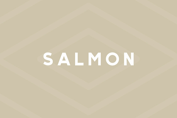 Salmon - Modern Sans Serif in Outline Fonts - product preview 1