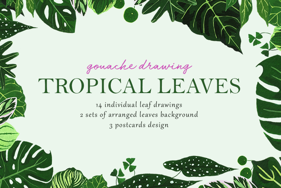 Tropical Leaves Drawing Set