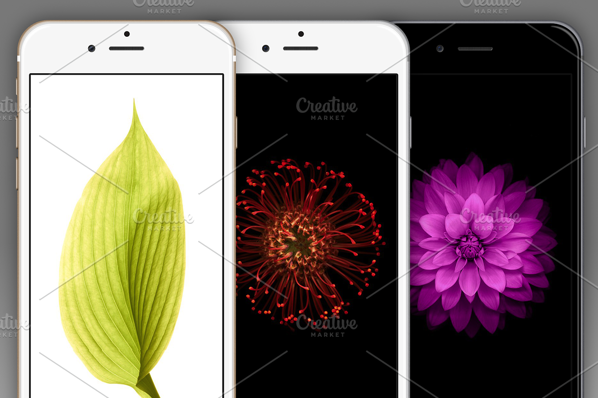 Apple iPhone 6 Mockup [Vector] in Mobile & Web Mockups - product preview 8