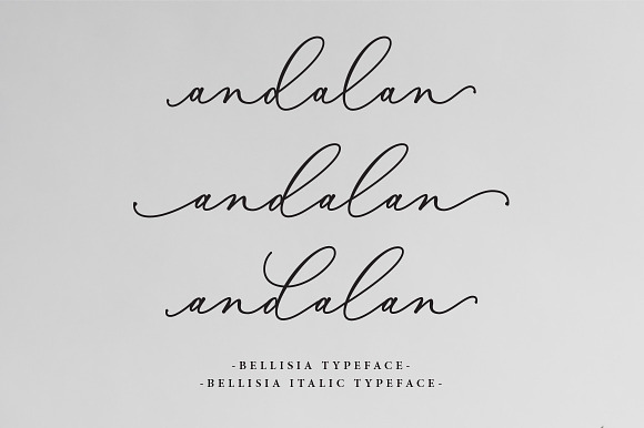 Bellisia Script + Bold Version in Bold Fonts - product preview 5