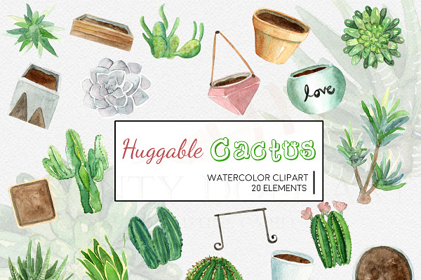 Watercolor Succulent Clipart Set