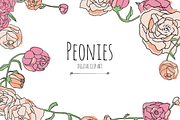 Peonies - Digital Clip Art