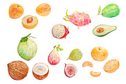 Watercolor Fruit Clipart Set 4